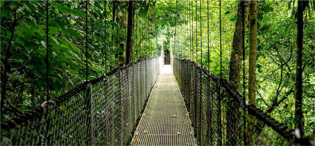 Designed for sustainability